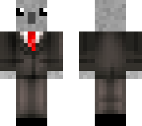 fancy koala