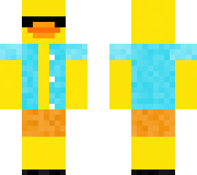beach duck