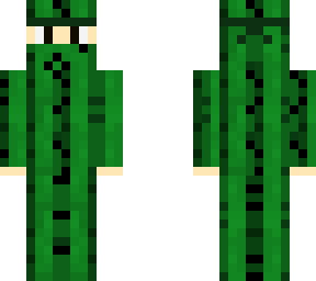 cactus ninja