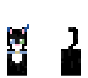 cat idk
