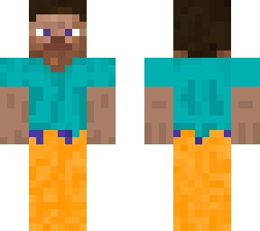 steve version florida