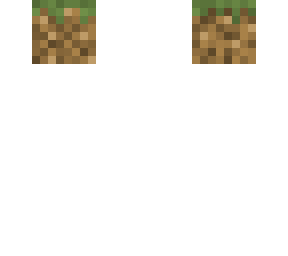 dirt block head