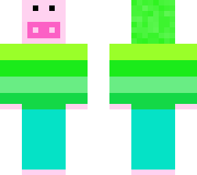 hoodie pig