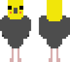 parrot skin