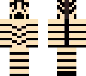 zebrazoomer