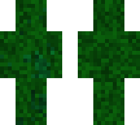 camo guy