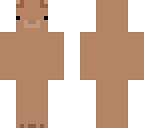 cute teddy