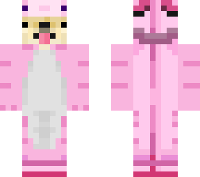 doge in a axolotl onesie