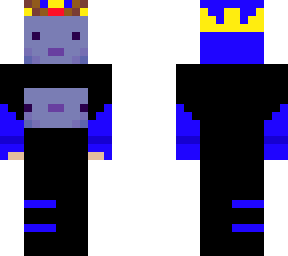 my bro's smp skin