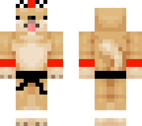 the karate doge