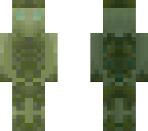 the turtlemaster
