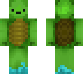my turtle