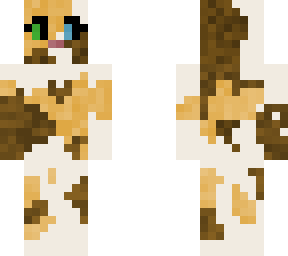 alice calico cat