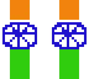 indian flag