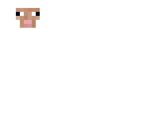sheep!