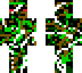 skin