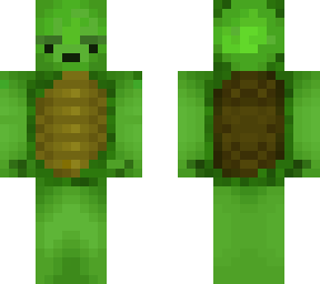 turtle