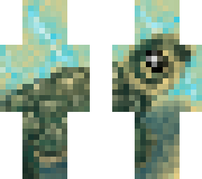 a 'lil turtle