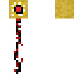 the eye