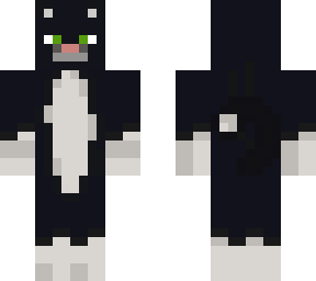 tuxedo cat
