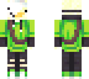 dream duck