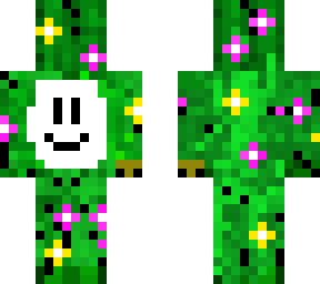 flower dream cactus