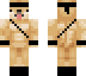 Improved Ninja Doge | Minecraft Skin
