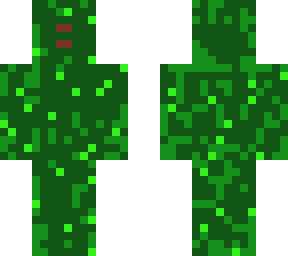 swamp mage.