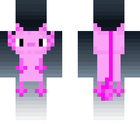 a cute axotl