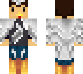 avianinvader