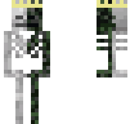 half skeleton half wither