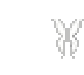 white fairy wings