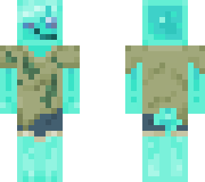.chsbr