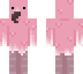 a flamingo