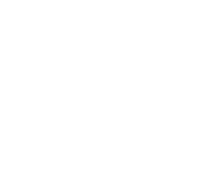 chess piece king white