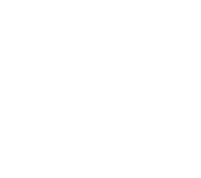 chess piece queen white