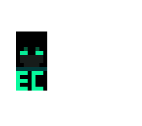 my endercon banner!