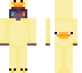 virgil duck pj