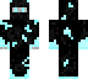 icy ninja