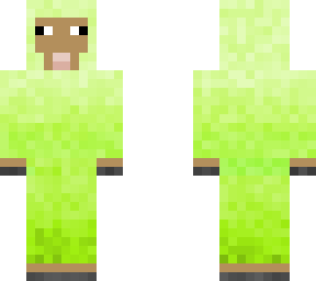 sheep