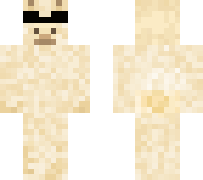 cool llama