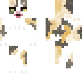 cat hit