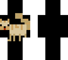 kitty cat
