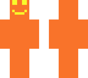 a pumpkin skin