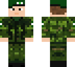 potopainarmed forces