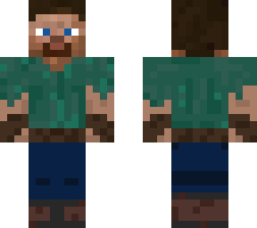 steve survivor