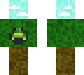 frog on dirt block