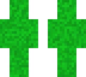 grass