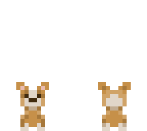 corgis on progress