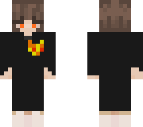 harry potter skin